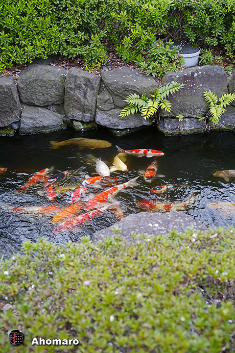 写真00