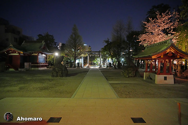 写真00