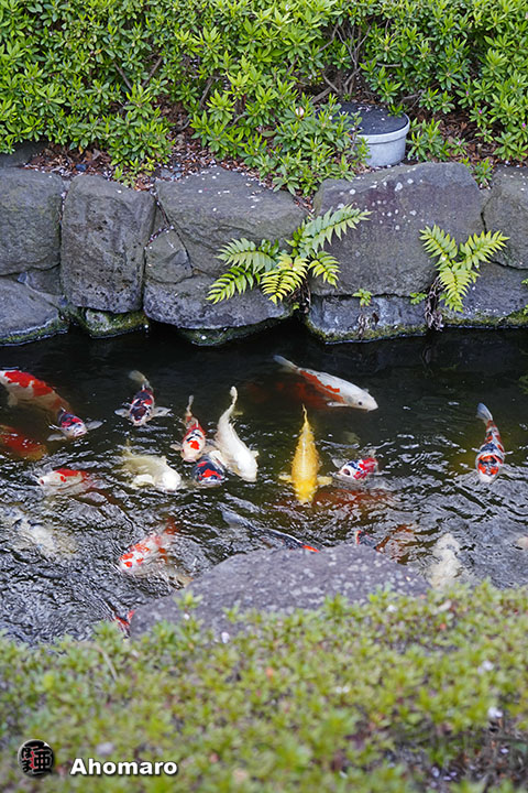 写真00