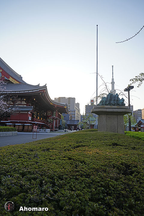 写真00