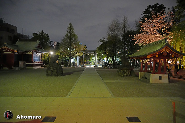 写真00