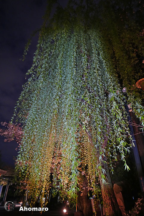 写真00