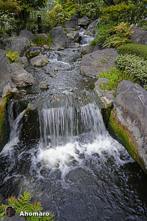 写真00