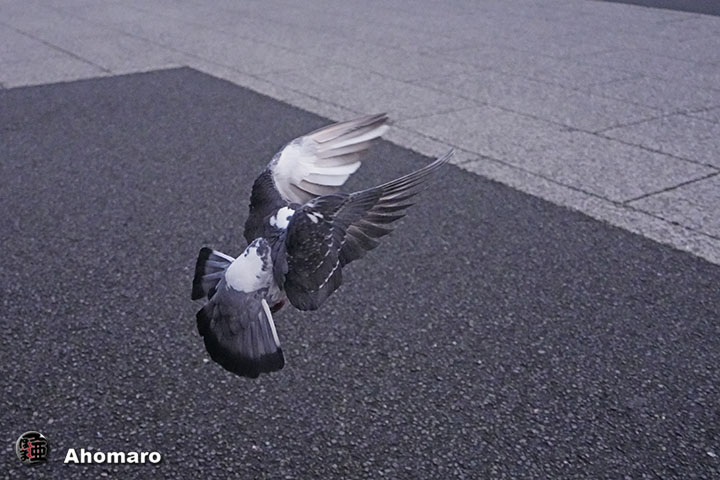 ʐ^00