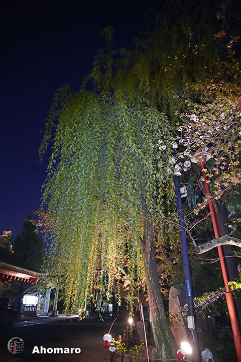 写真00
