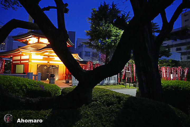 写真00