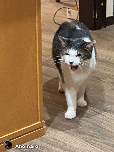 ʐ^00