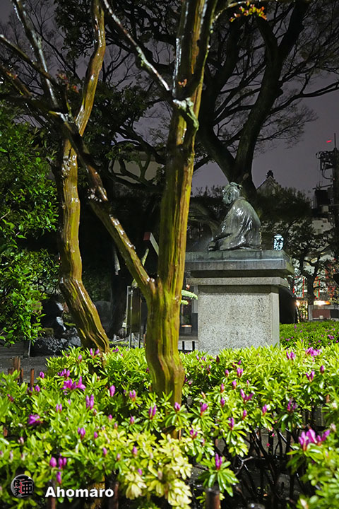 写真00