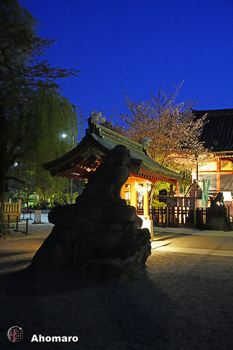 写真00