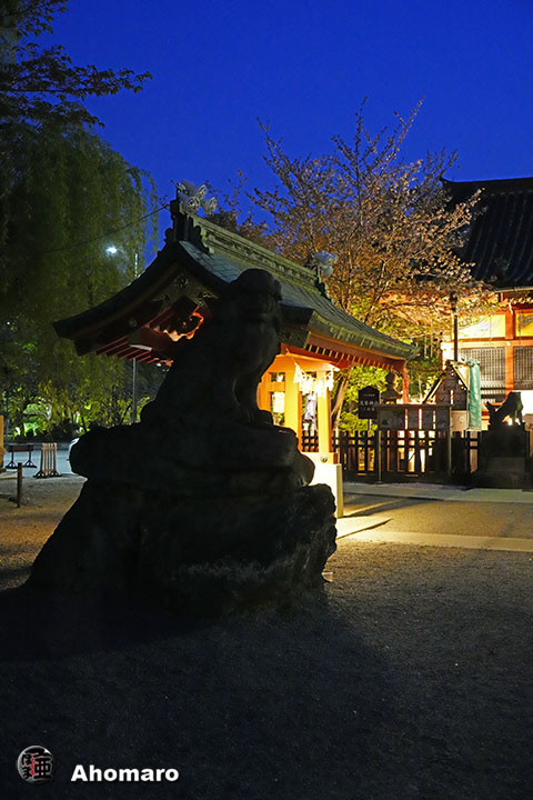 写真00