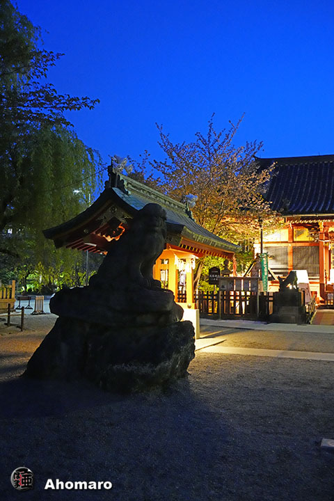 写真00