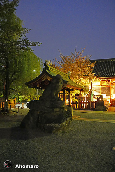 写真00