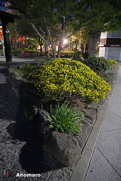 写真00