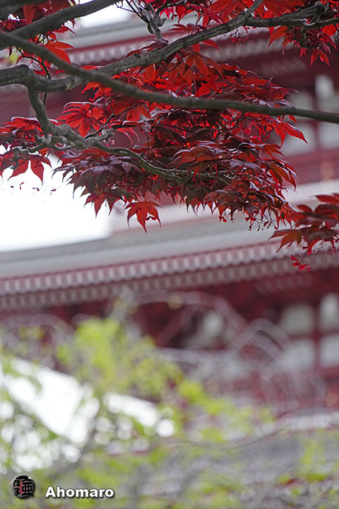 写真00