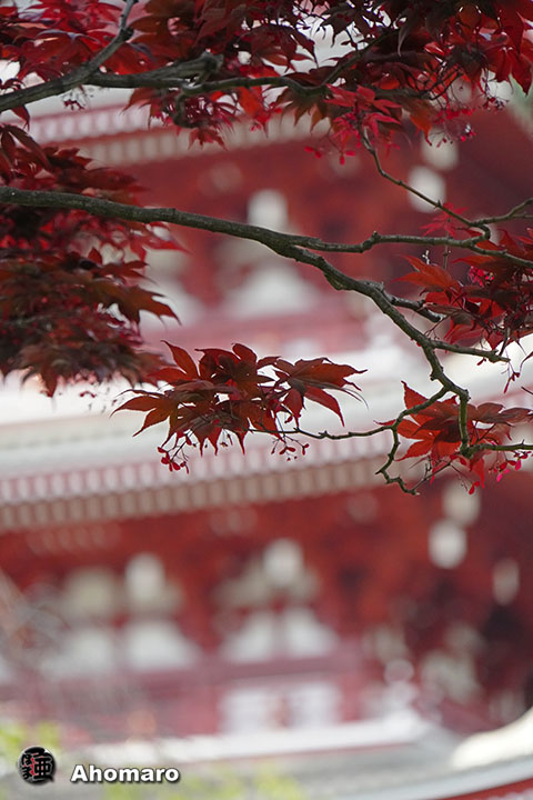 写真00