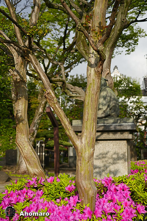 写真00