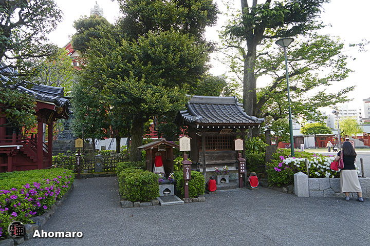 写真00