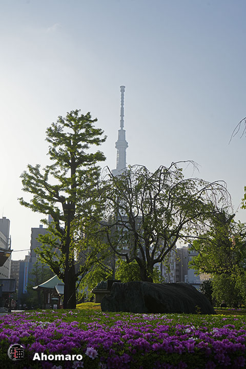 写真00