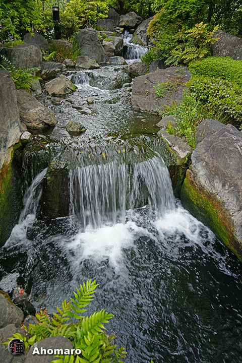 写真00