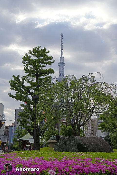 写真00
