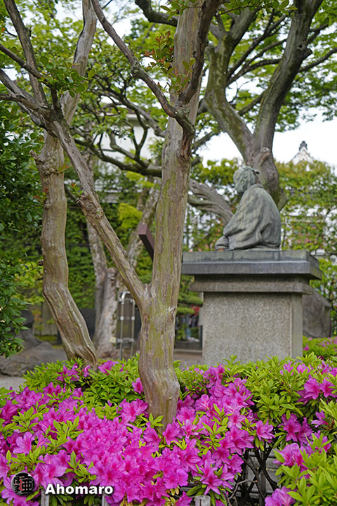 写真00