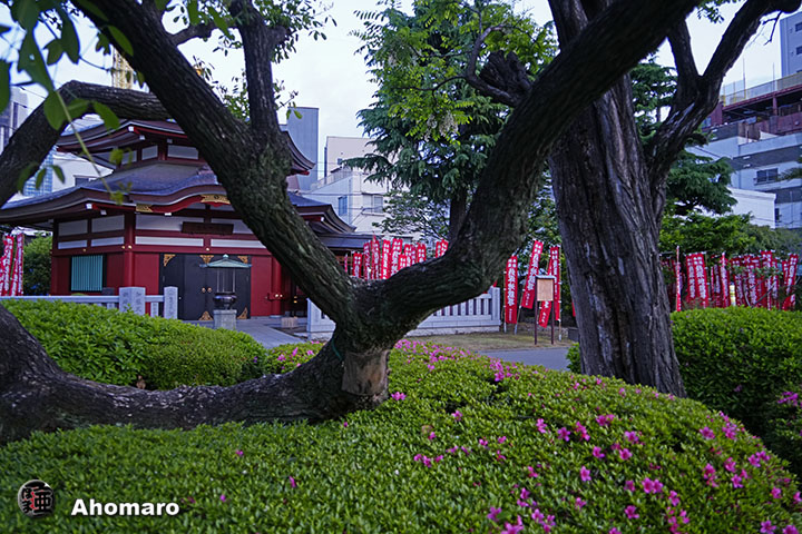 写真00