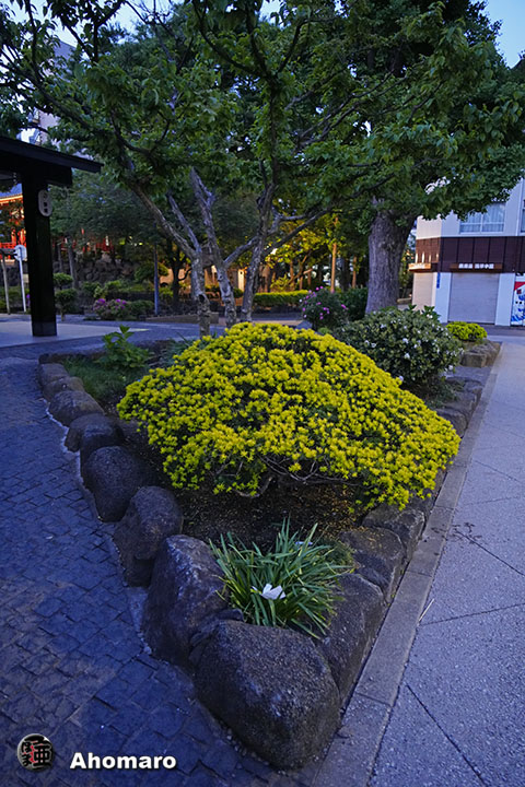 写真00