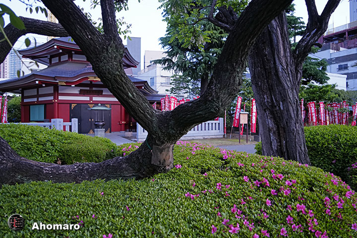 写真00