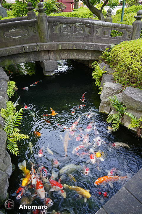 写真00