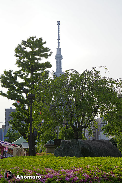 写真00