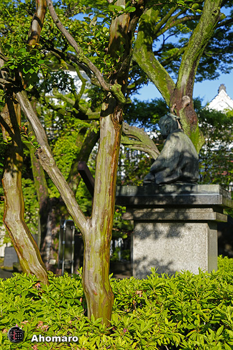 写真00