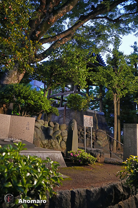写真00
