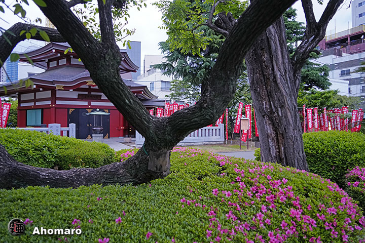 写真00