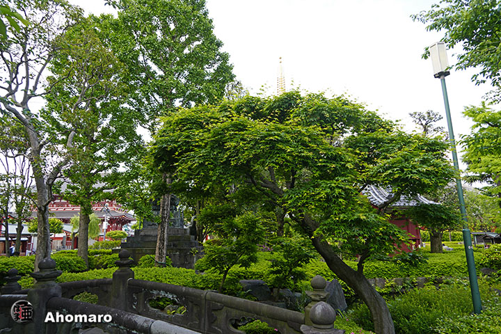 写真00