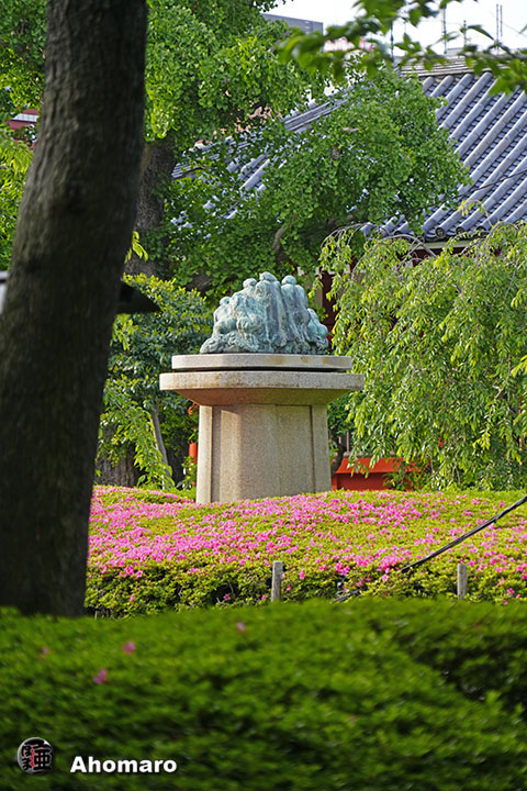 写真00