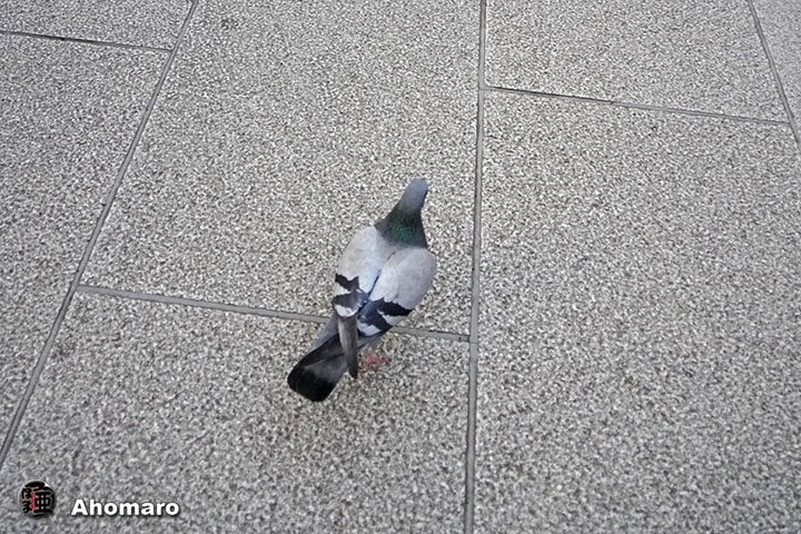 ʐ^00