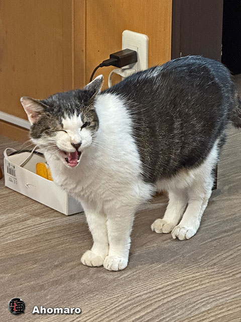 ʐ^00