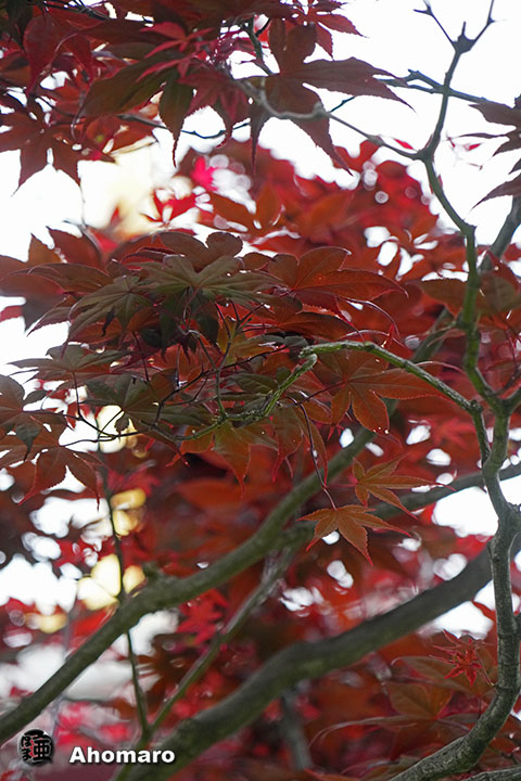 写真00