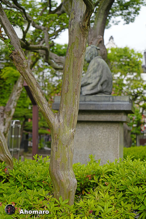 写真00