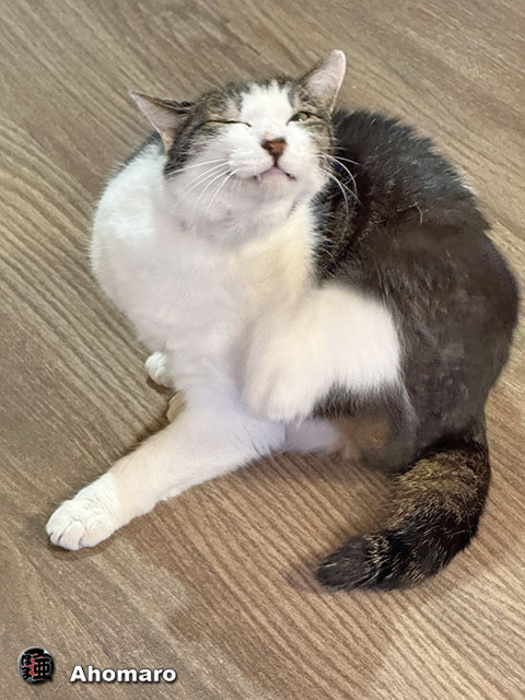 ʐ^00