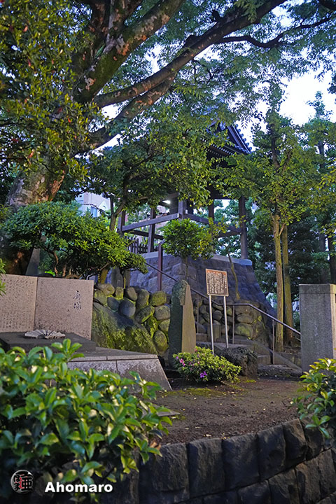 写真00