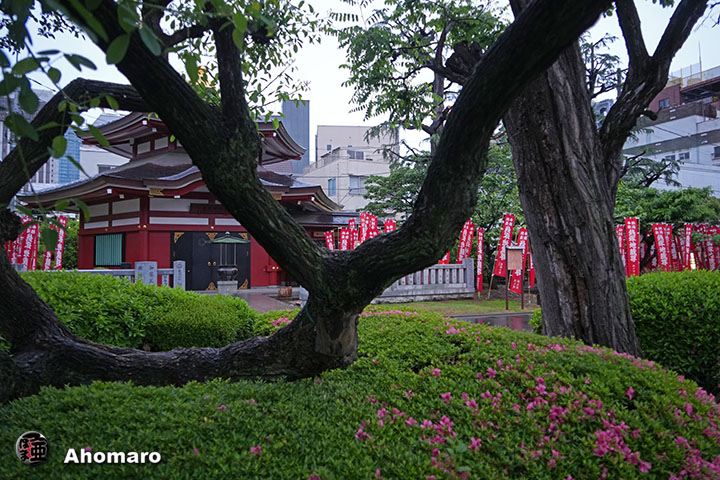 写真00
