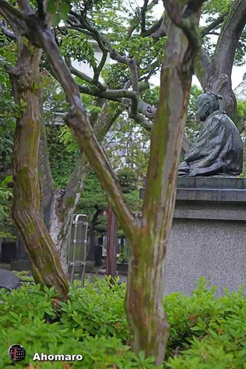 写真00