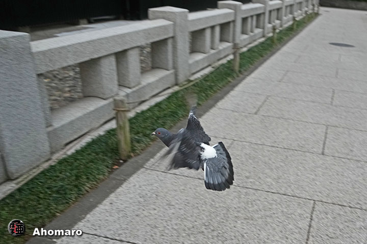 ʐ^00