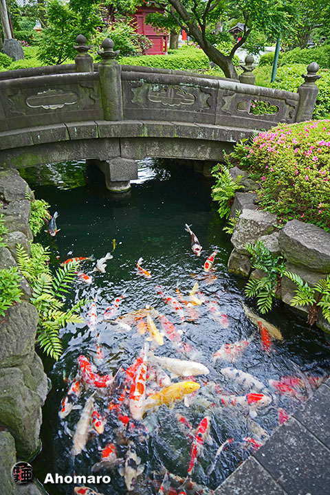 写真00