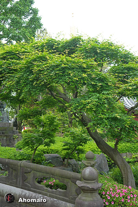 写真00