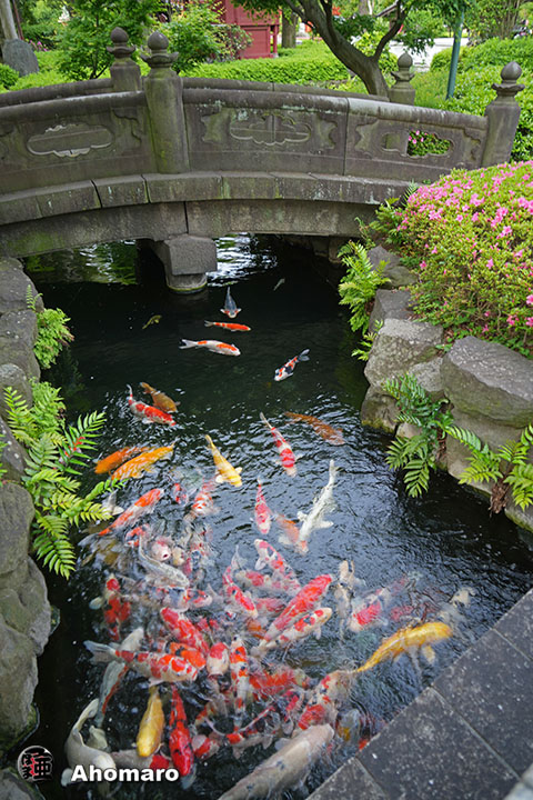 写真00