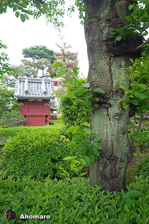 写真00