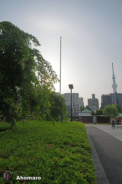 写真00