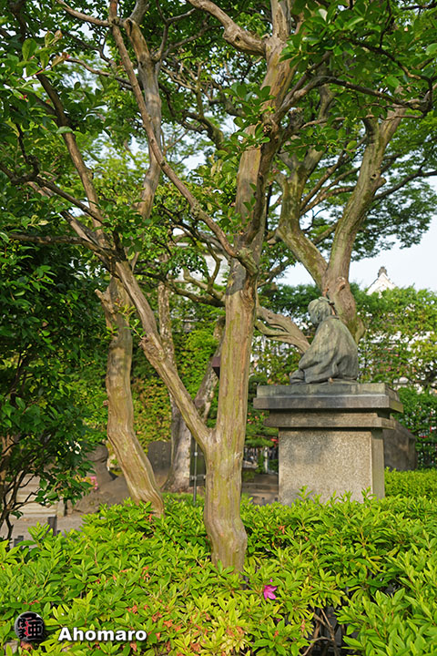 写真00